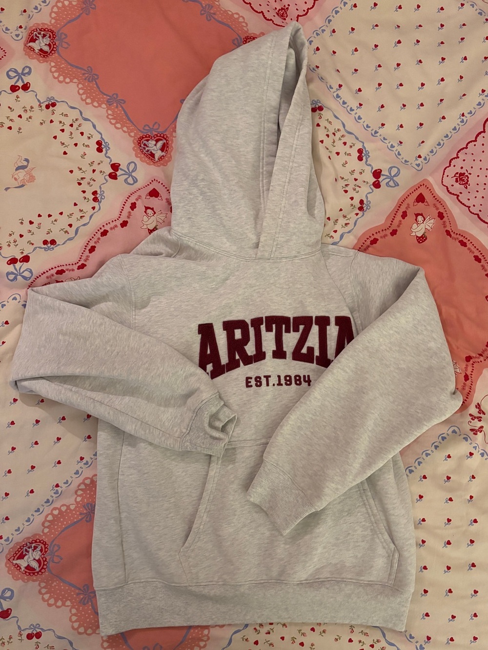 Aritzia Cozy Sweatfleece Perfect Hoodie - Picture 5 of 6